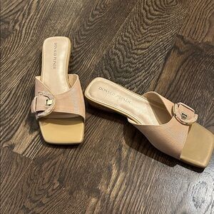 Donald J. Pliner Women's Brown Mules with Buckle. New!! Never worn! Leather!